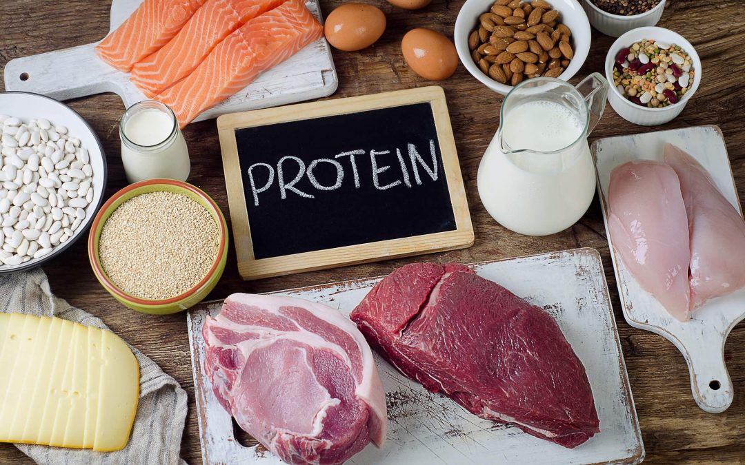 Why Is Protein Important in Our Diets?
